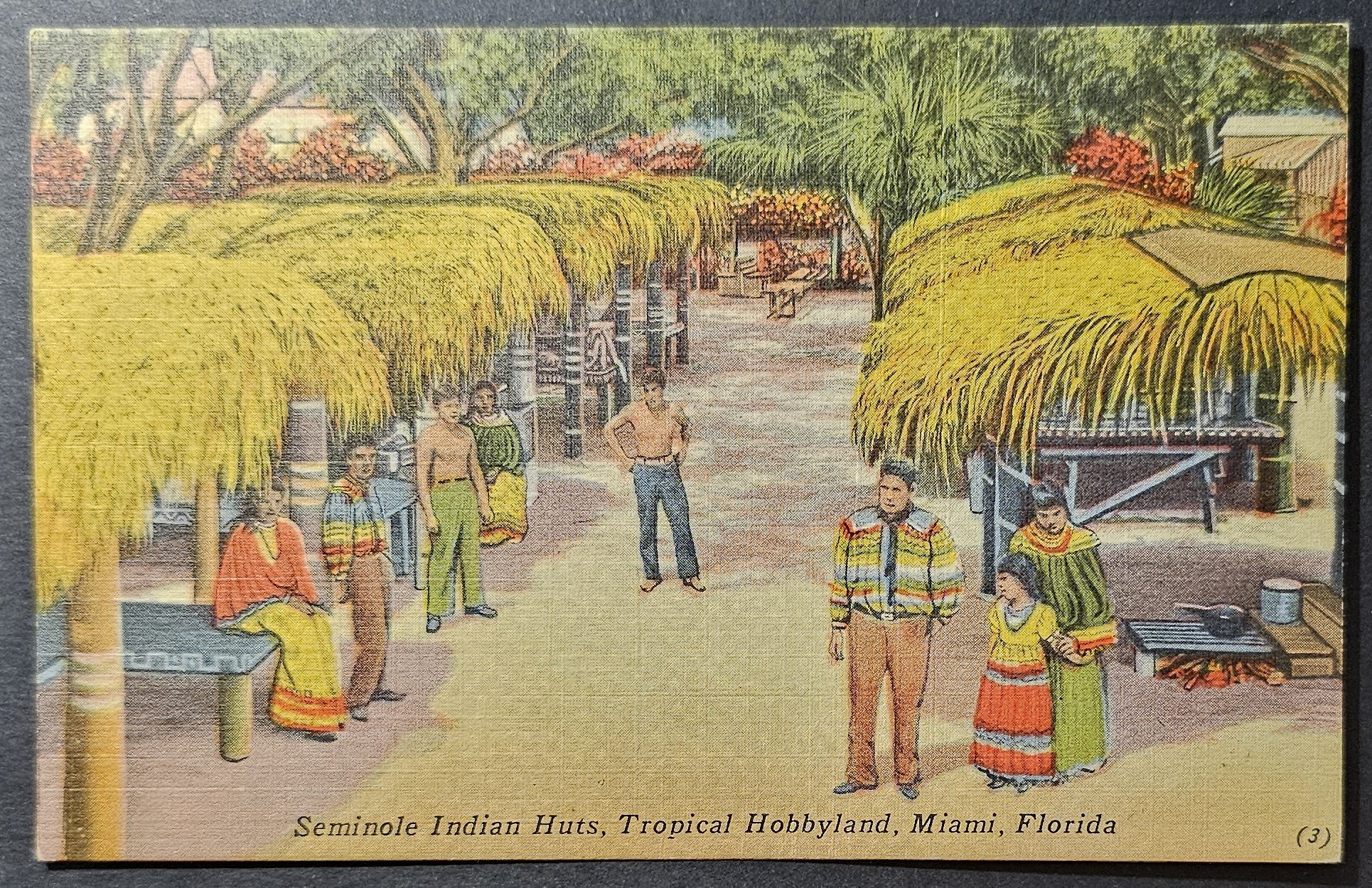 (image for) postcard USA - FL - Florida #0071